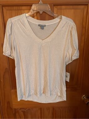 Falls Creek Women's Cream Striped V-Neck Top NWT